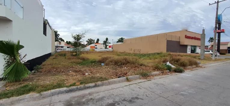 Galería 6