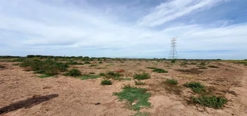 13_3124 | En Venta excelente Predio Agrícola, Ejido Mochis. | Castillo Bienes Raíces